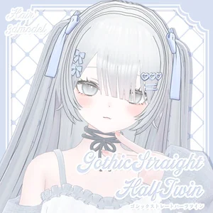 💙sale💙Hair3Dmodel_GothicStraightHalfTwin